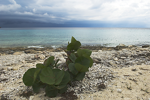 Curacao Image 7