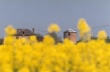 France 1