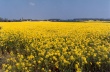 France 2