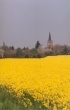 France 3