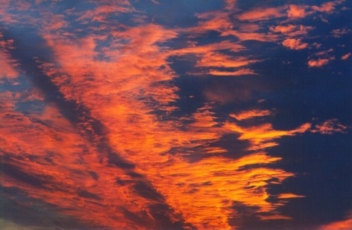 Holland Image 5