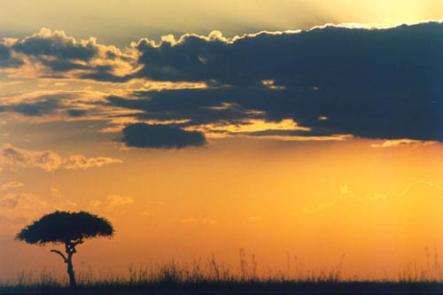 Kenya Image 1